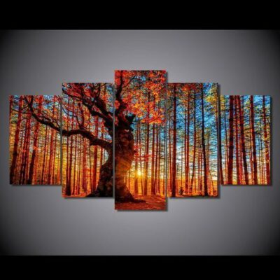 Acrylic Glass Wall Art, Autumn Fall Forest Trees Foliage Nature